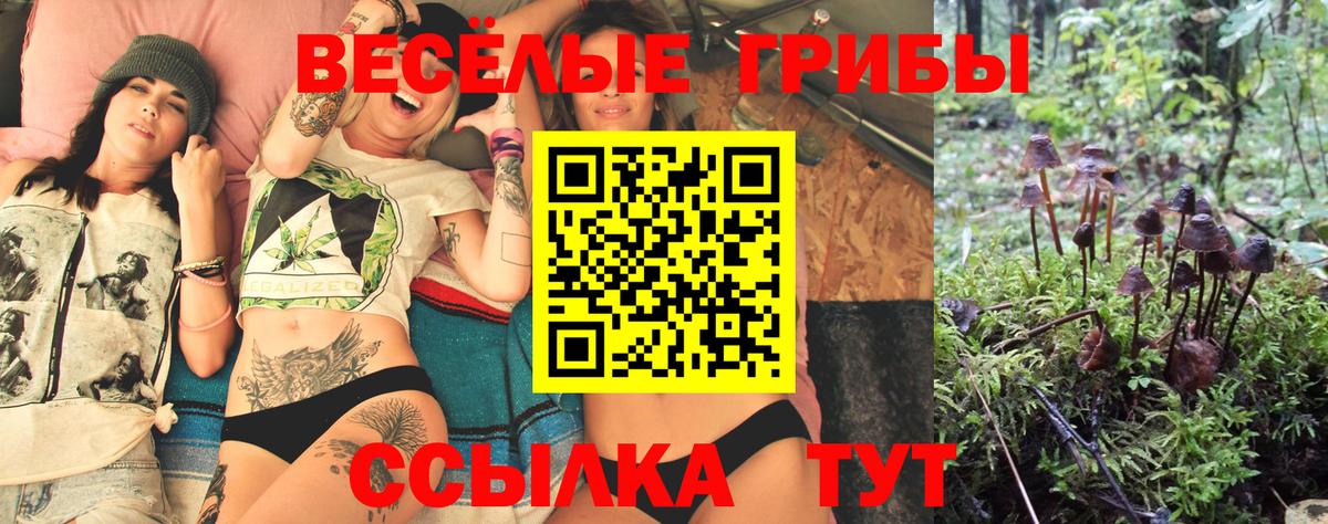Псилоцибиновые грибы мицелий  Галлюциногенные грибы Cubensis  Батайск  Вход с VPN 
